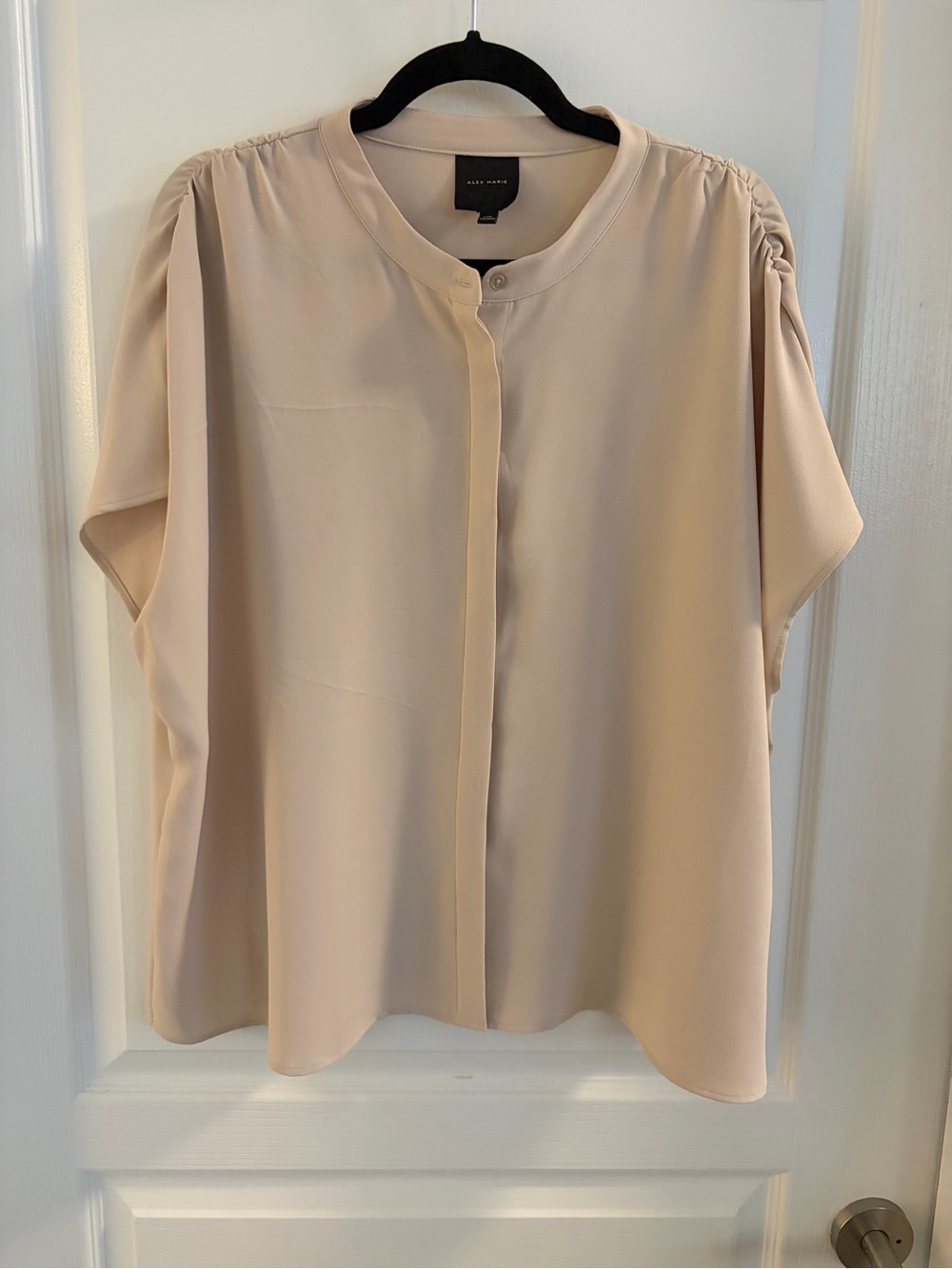 Alex Marie Soft Cream Short Sleeve Blouse